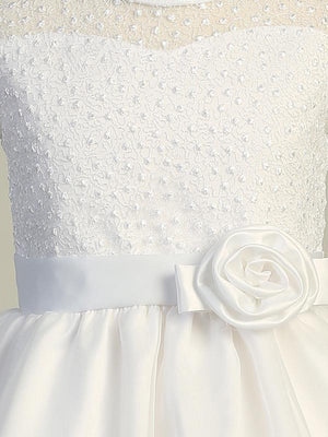 Tea Length Embroidered Tulle Dress